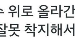 오늘 쇼음중 사전녹화ㅠㅠㅠ