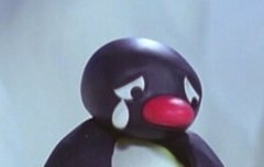 미친 개시발새끼