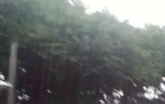 소나기를 뚫고 달리는첸첸 ㅎㅎ