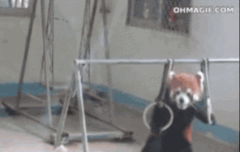 짧고 굵은 수상소감 왈