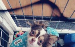 오늘 하루도 상큼하겤ㅋㅋㅋ