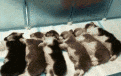 네이버기사 댓글 싹다 우리욕임