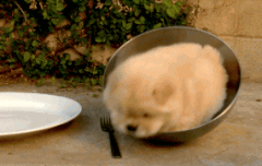 시험공부해야되는디....