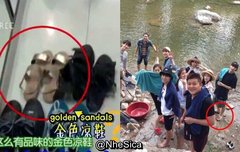 안녕 열매들~ 겸순이야~~