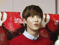 수녀들은어떻게최애가준면이가됐어 ?