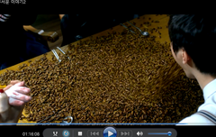 왠일이니 번데기 눈뜨니쫘악