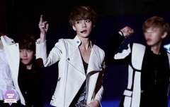 엑톡새끼들은 대갈통 빈애들만 모여있는거같음