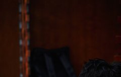 쯔타오 새짤+ 웨이보+ 뮤비소식