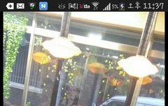 찬열이 닭갈비먹었대ㅇ0ㅇ~