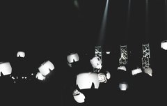 로즈봉 존나 이뻐..