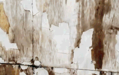 준면이 손도커보이고 어깨도 넓어보여