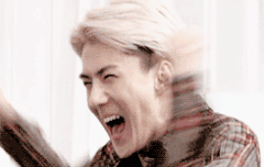 저 엑소엘인데비비씨들