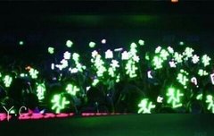 찬열 중국팬들 개인봉 색 이쁜거같아 ㅠㅠ