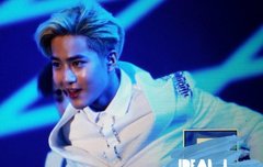 140831 롯데콘서트 면토끼 프리뷰