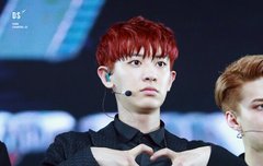 [필독]공항준수샤