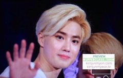 수녀들 수호사진보고가 6666