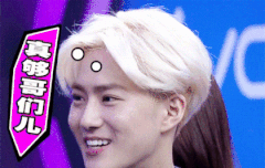 수호움짤보고가요