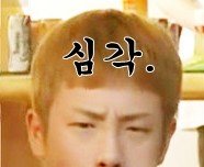 우리 심심한데 짤자랑이나 할까◎◎♬