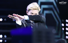 면이가 너무 보고싶다 (@_@)