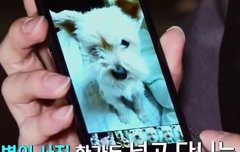 준면이는 나중에 아들이나 딸바보 될듯