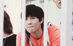 악개들 진짜싫다.....팬도 가수도 상처야이건 ㅠ