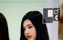 수영이 입국했어요