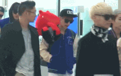 레이 움짤털이~~~