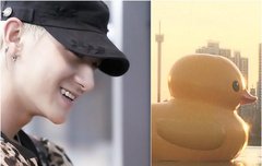 러버덕은 타오의 친구였어