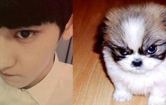 찬뭉이 우우우웅 실시간 트렌드