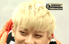 타오 반딧불이에 대한 일화를 정법에서 보고