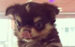 캔디 남자친구 호야래 ㅋㅋㅋ