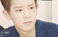 애절한 눈빛과 무언의 이야기 