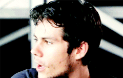 대신 집은 아무데나 데려다줌 