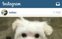 타오 강아지 한마리 더 데리고왔네 ㅎ