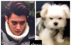 캔디 아빠 아니랄까봐