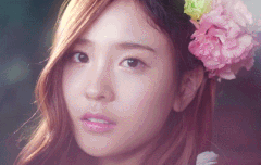 소나무에서 눈에 제일 들어오는 멤버