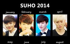 연말마무리)수호의 2014년 1~12월모습들