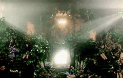 조성모가 매실음료수 들고나올꺼 같은 분위기 ㅋㅋㅋㅋ 