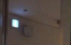 자가치유중인 히링유니콘 레이 :)