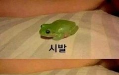 루한이 코트정보~~!