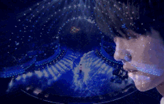 드림스타파트너 1월8일 방송이였는데 내일로 당겨졌대~