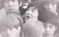 면토깽 귀여워...너무 귀여워....