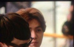 루한이의 사생대처법