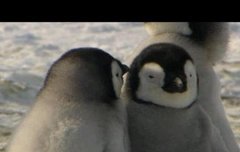 헐 3관왕 골디 사랑해