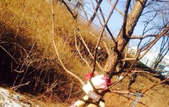 레이숲에 묶인 씽잌ㅋㅋㅋㅋㅋ