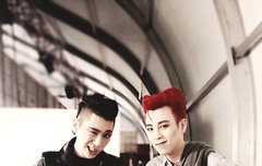 벌들 이거 어디사진이야?