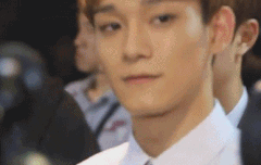 여기인가요 올비들의천국이