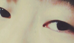 나쌍수할까말까