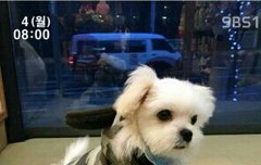 나 판한지 6년정도됬는데