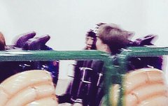 종대롯월드얼굴사진